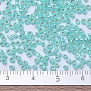 MIYUKI Round Rocailles Beads X-SEED-G007-RR0571-4