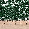 Baking Paint Glass Seed Beads X1-SEED-K010-A23-4