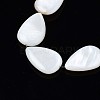Natural Sea Shell Beads Strands SSHEL-Q296-43-3