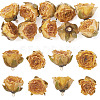 10Pcs Preserved Rose Pendants KY-TA0001-59D-1