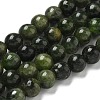 Natural Green Diopside Beads Strands G-K382-B01-01-1
