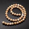 Natural Sea Shell Beads Strands SSHEL-K013-8mm-B-2