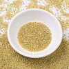 MIYUKI Delica Beads SEED-MY11-DB0042-2