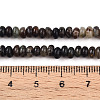 Natural Biotite Beads Strands G-T140-69B-5