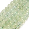 Natural Prehnite Beads Strands GG-CBA6F9F-8mm-2