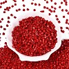FGB Baking Paint Glass Seed Beads SEED-Q040-09A-05-2