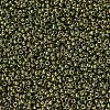 MIYUKI Round Rocailles Beads X-SEED-G007-RR0307-3