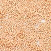 Baking Paint Glass Seed Beads X-SEED-S042-05B-80-3