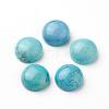 Synthetic Turquoise Cabochons G-L507-02E-03-1