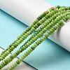 Natural Dolomite Beads Strands G-K350-A01-01I-2