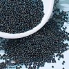 MIYUKI Round Rocailles Beads X-SEED-G007-RR0455-1