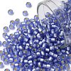 TOHO Round Seed Beads SEED-JPTR08-0033F-1