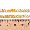 Electroplate Glass Beads Strands GLAA-T023-A17-02-4