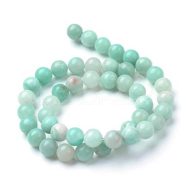 Natural Amazonite Beads Strands G-T055-10mm-17-1