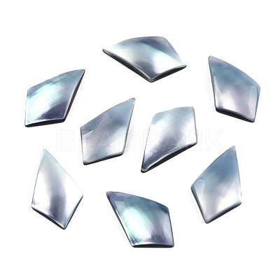 Natural Turbo Cornulus/Top Shells Cabochons SSHEL-N003-154-1