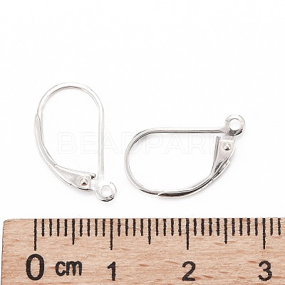 925 Sterling Silver Hoop Earrings STER-P032-06S-1