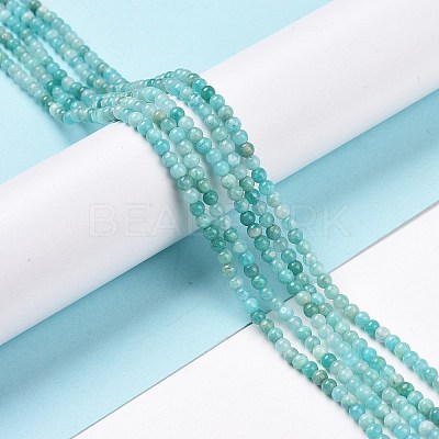 Natural Amazonite Beads Strands G-C009-C05-1