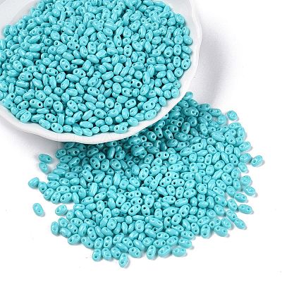 Baking Paint Glass Seed Beads SEED-T006-03H-1