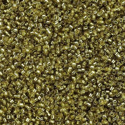 MIYUKI Delica Beads X-SEED-J020-DB2164-1