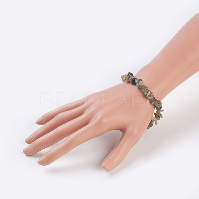 Natural Labradorite Stretch Bracelets BJEW-JB03681-07-1