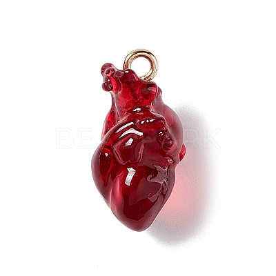 Transparent Resin Pendants RESI-E028-01G-01-1
