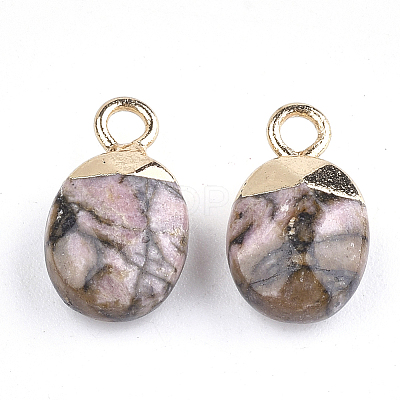 Electroplate Natural Rhodonite Charms G-S344-09B-1
