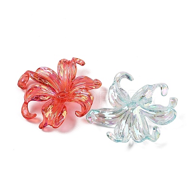 Transparent Acrylic Beads LS-X-MACR-K358-06A-1