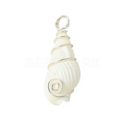 Natural Trumpet Shell Pendants PALLOY-JF02794-02-1