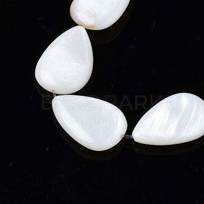 Natural Sea Shell Beads Strands SSHEL-Q296-43-1