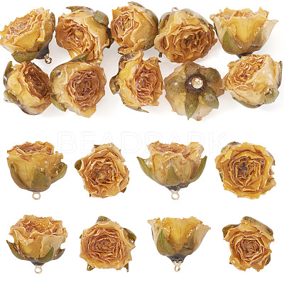 10Pcs Preserved Rose Pendants KY-TA0001-59D-1