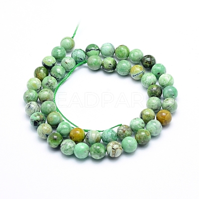 Natural Variscite Beads Strands G-G823-02-8mm-1