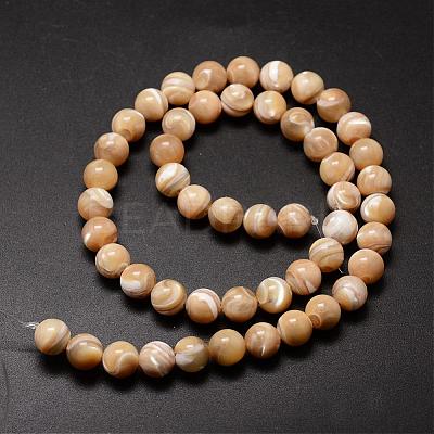 Natural Sea Shell Beads Strands SSHEL-K013-8mm-B-1