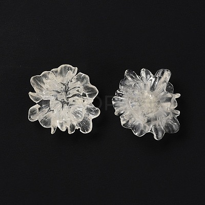 Transparent Resin Cabochons LS-RESI-G027-01A-1