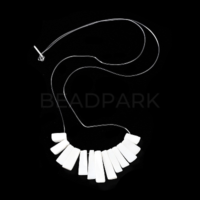 Rectangle Natural Conus Eburneus ShellGraduated Beads Strands SSHEL-P002-05A-1