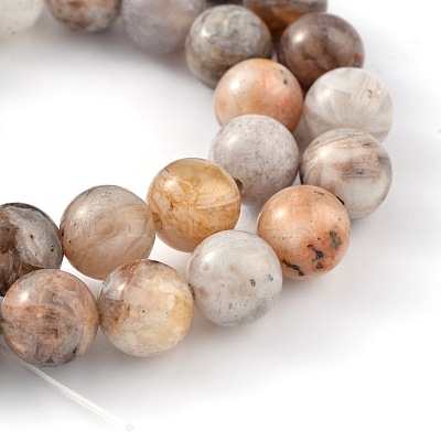 Natural Bamboo Leaf Agate Round Bead Strands G-M248-10mm-04-1
