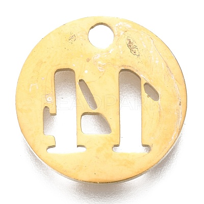 304 Stainless Steel Pendants STAS-F233-14G-1