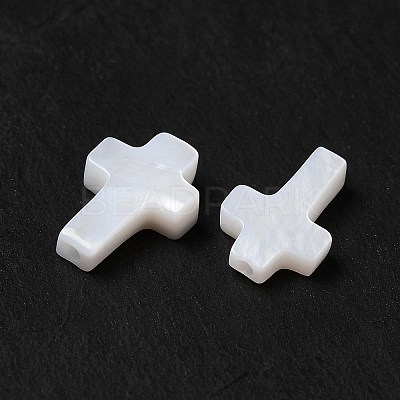 Natural Freshwater Shell Beads BSHE-E026-09-1