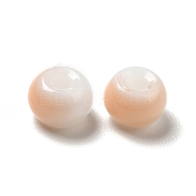 6/0 Opaque Glass Seed Beads SEED-P005-A12-1
