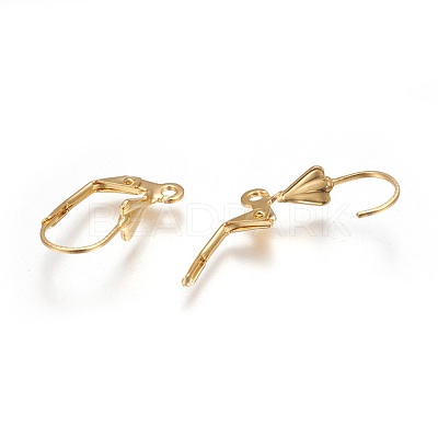 304 Stainless Steel Leverback Earrings Findings STAS-P227-45G-1