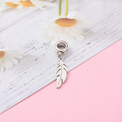 304 Stainless Steel European Dangle Charms X-PALLOY-JF00624-01-1