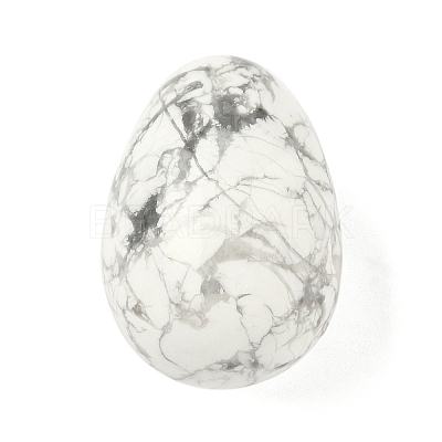 Natural Howlite Egg Shape Display Decorations G-Z094-01F-1