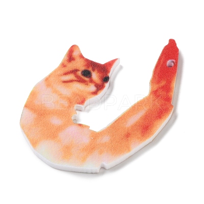 Opaque Printed Acrylic Pendants SACR-F017-03-1