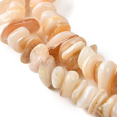 Natural Shell Beads Strands BSHE-G029-01B-1