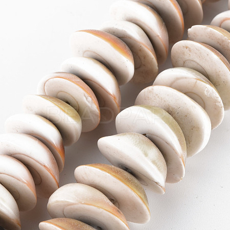 Natural Shell Beads Strands SSHEL-N034-101-1