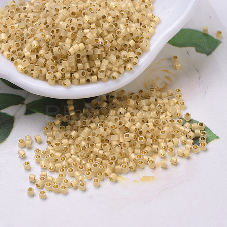 MIYUKI Delica Beads Small SEED-JP0008-DBS0230-1