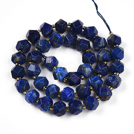 Natural Lapis Lazuli Beads Strands G-T140-11-1