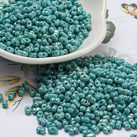 Glass Seed Beads SEED-K009-09A-02-1