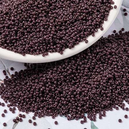 MIYUKI Round Rocailles Beads X-SEED-G009-RR0497-1