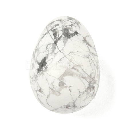 Natural Howlite Egg Shape Display Decorations G-Z094-01F-1