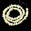 Natural Trochid Shell/Trochus Shell Bead Strands SSHEL-N034-78-C01-2